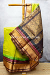 Korvai Zari checks Silkcotton