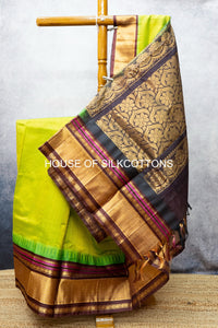 Korvai Zari checks Silkcotton