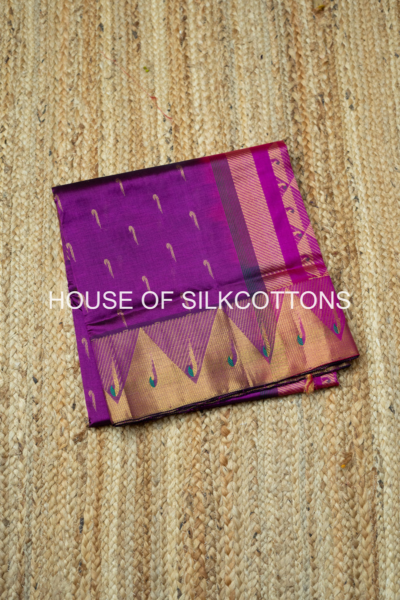 Paithani Mottifs Silkcotton