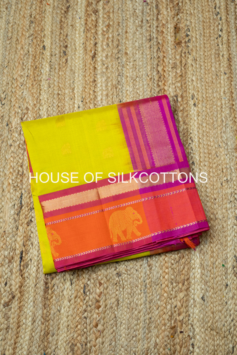 Contemporary Korvai Silkcotton