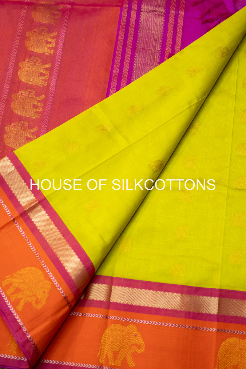 Contemporary Korvai Silkcotton