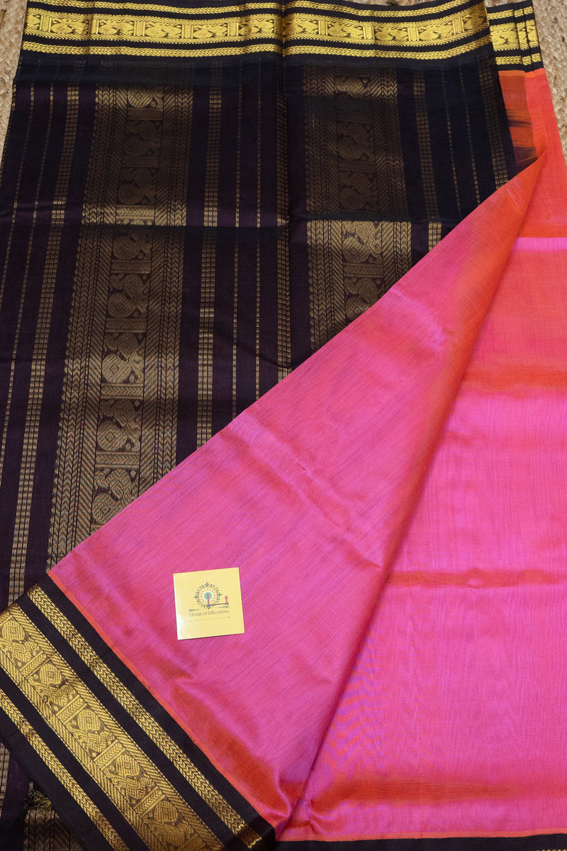 Korvai  Border silkcotton